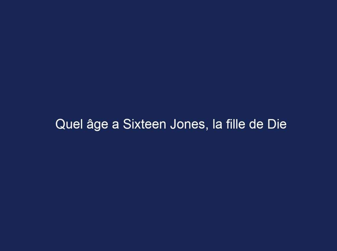 Quel âge a Sixteen Jones, la fille de Die Antwoord ?