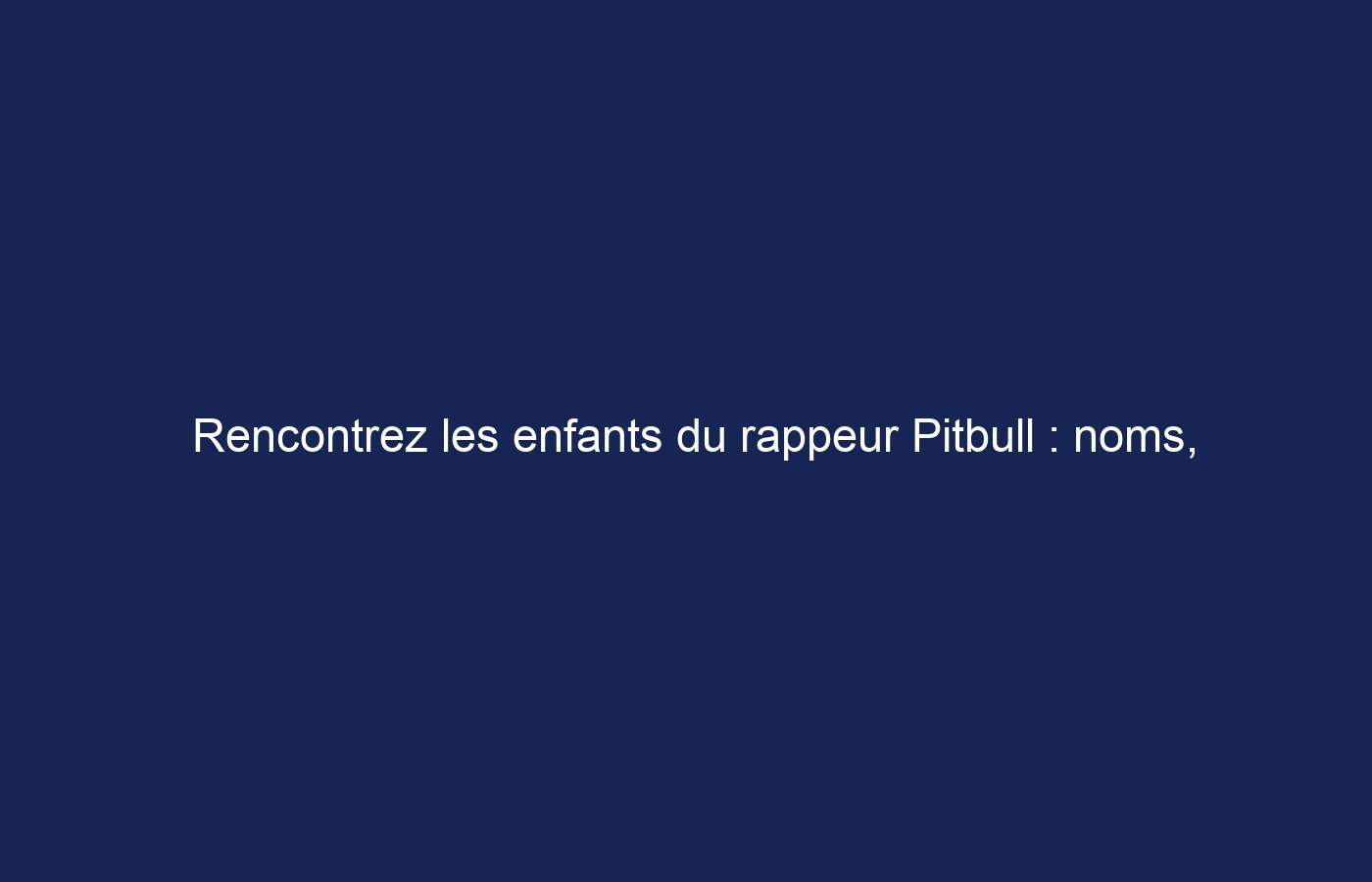 Rencontrez les enfants du rappeur Pitbull : noms, profils, photos, mères